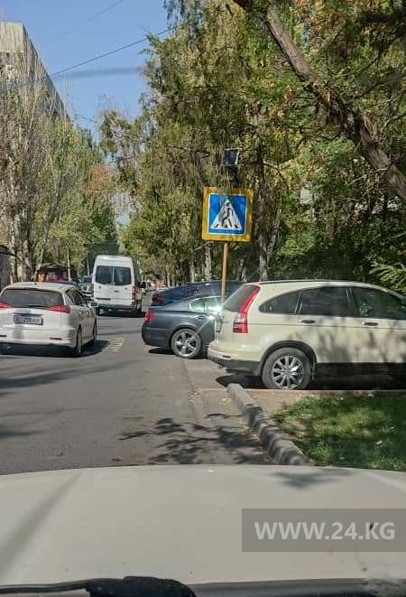 Чудаки парковки