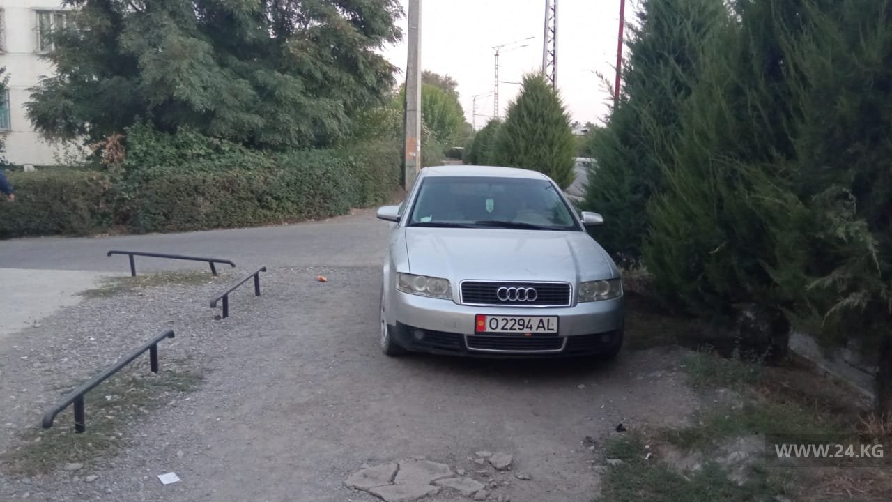 Чудаки парковки