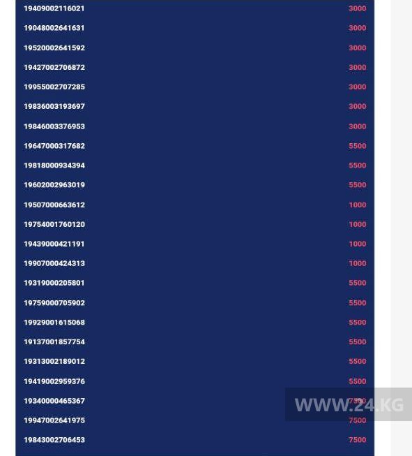 Результаты проверки на портале Carcheck.kg