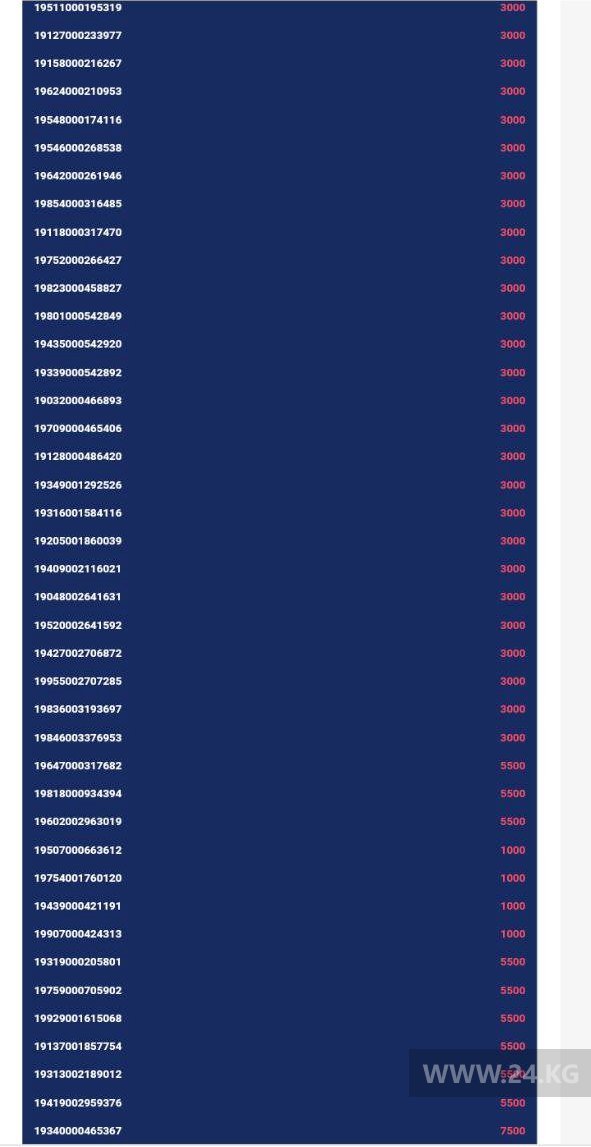 Результаты проверки на портале Carcheck.kg