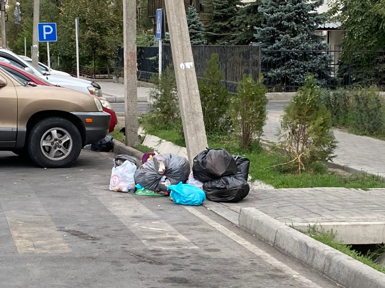 Мусор выбрасывают прямо на пешеходную дорожку