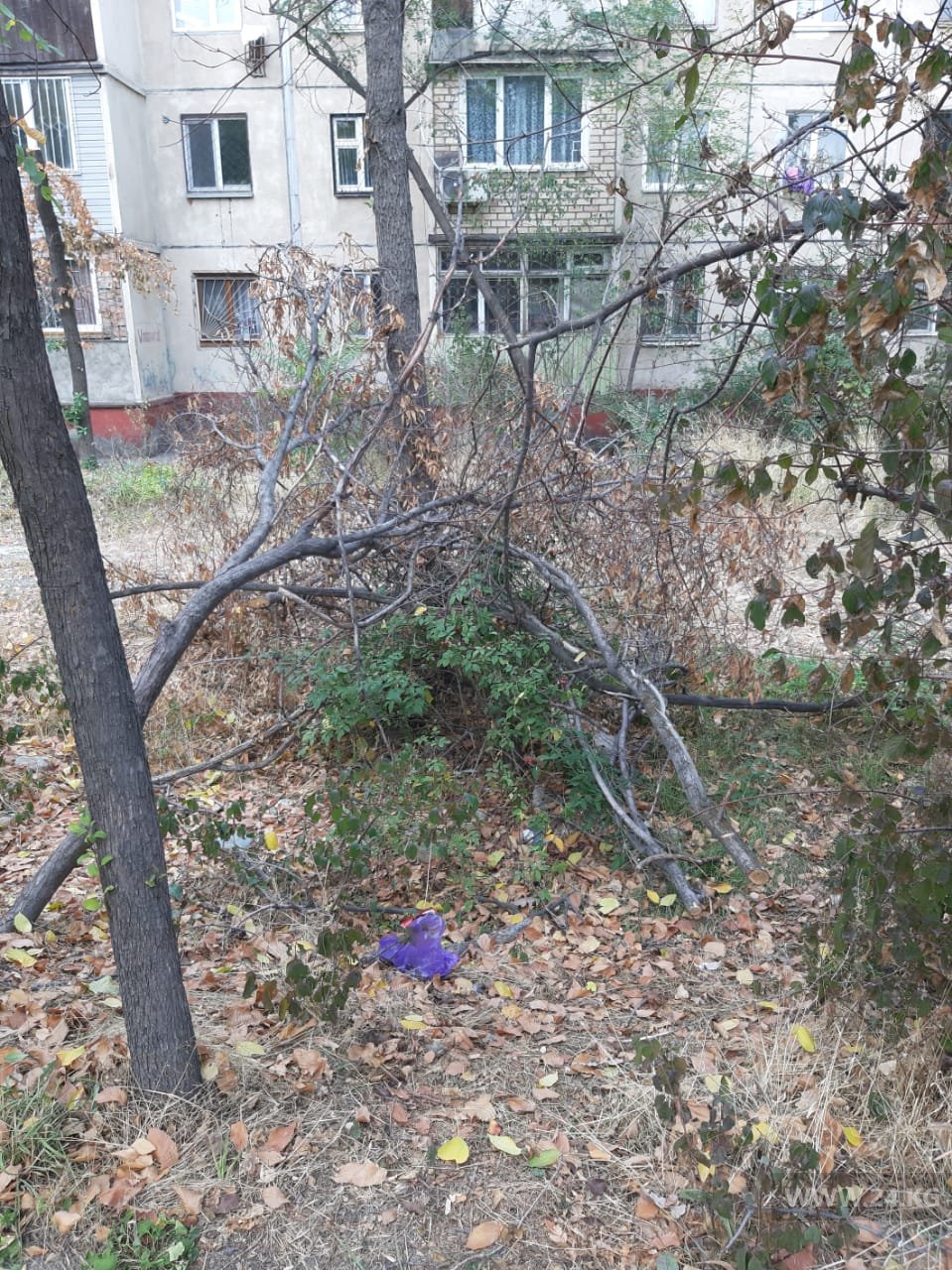 Участок в 6-м микрорайоне