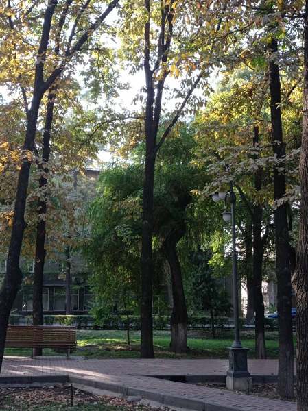 Осенний Бишкек