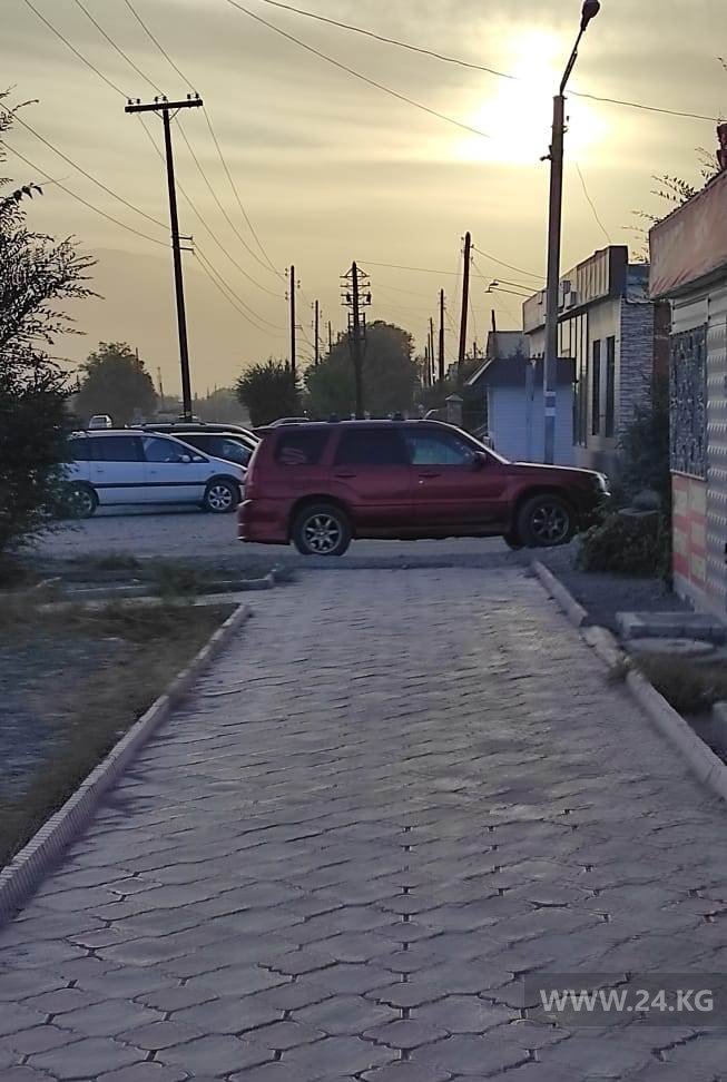 Чудаки парковки