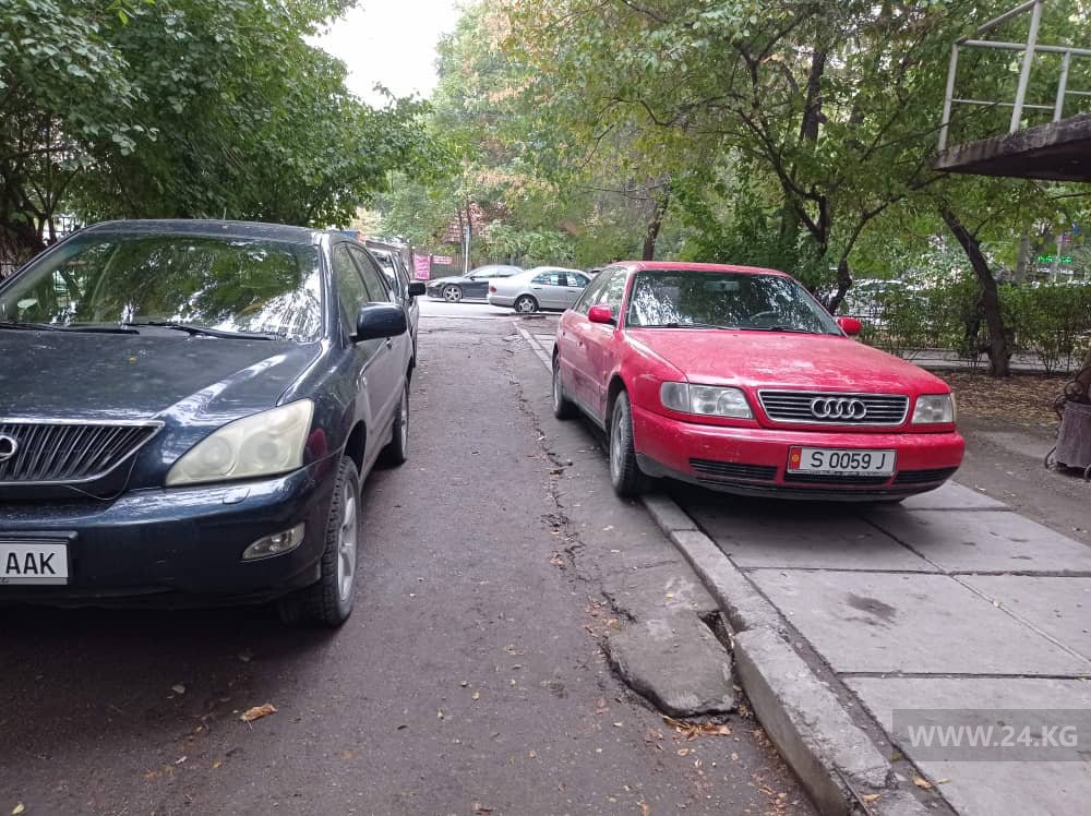 Чудаки парковки