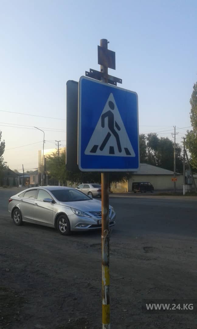 Пешеходный переход в Лебединовке