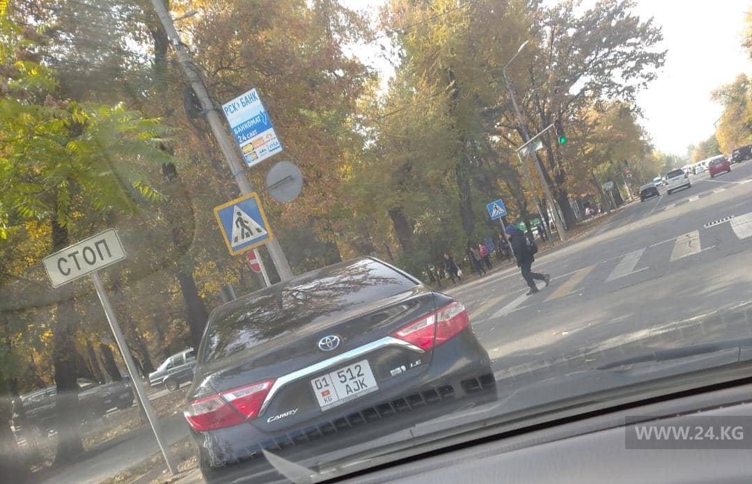 Чудаки парковки