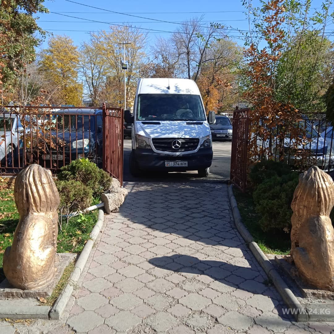 Чудаки парковки