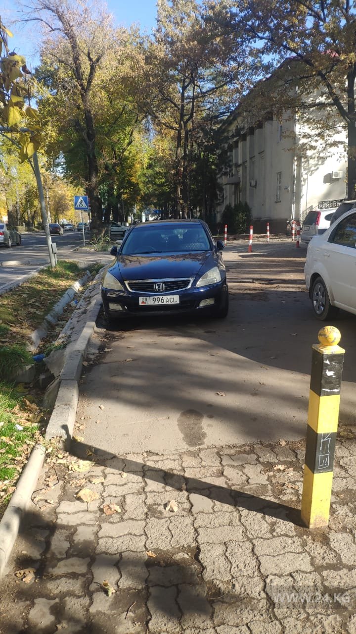 Чудаки парковки
