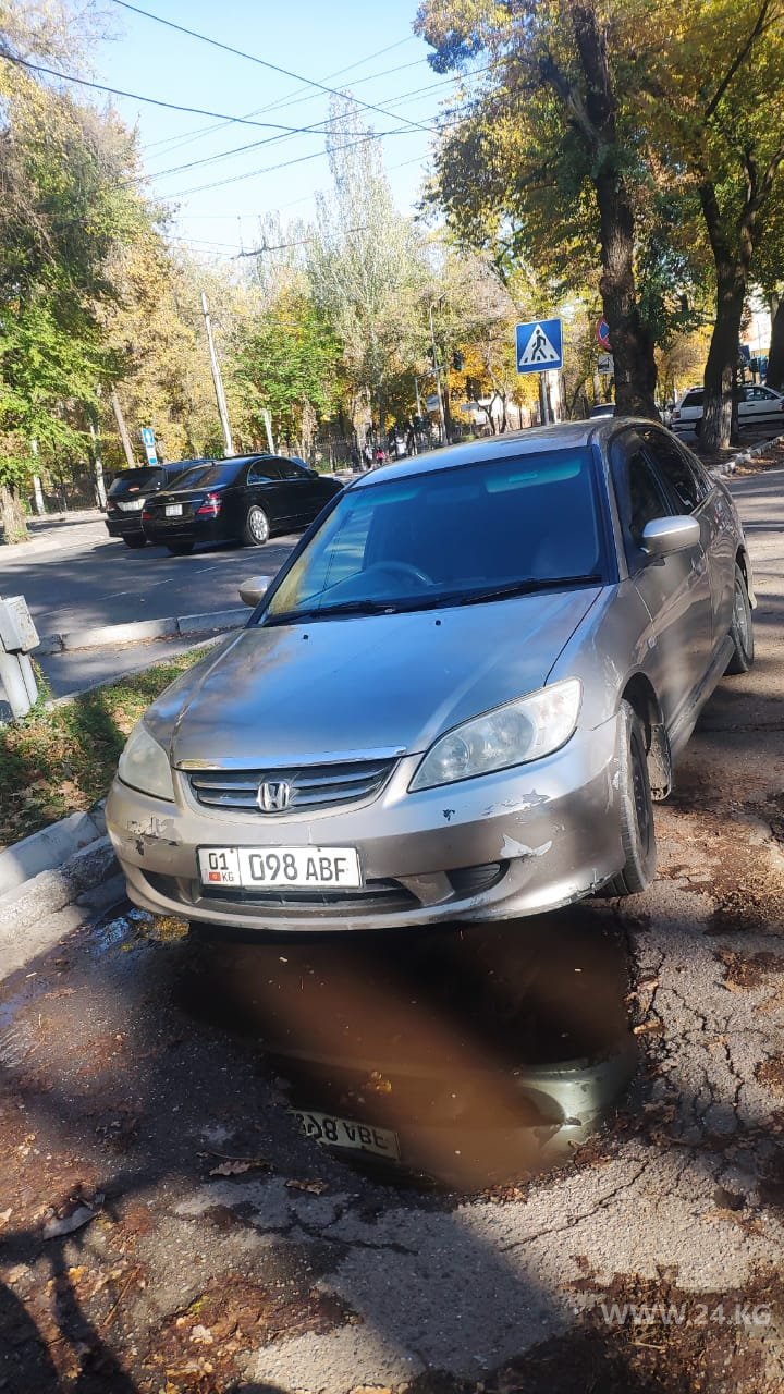 Чудаки парковки