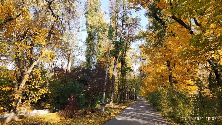 Золотая осень в парке имени Ататюрка
