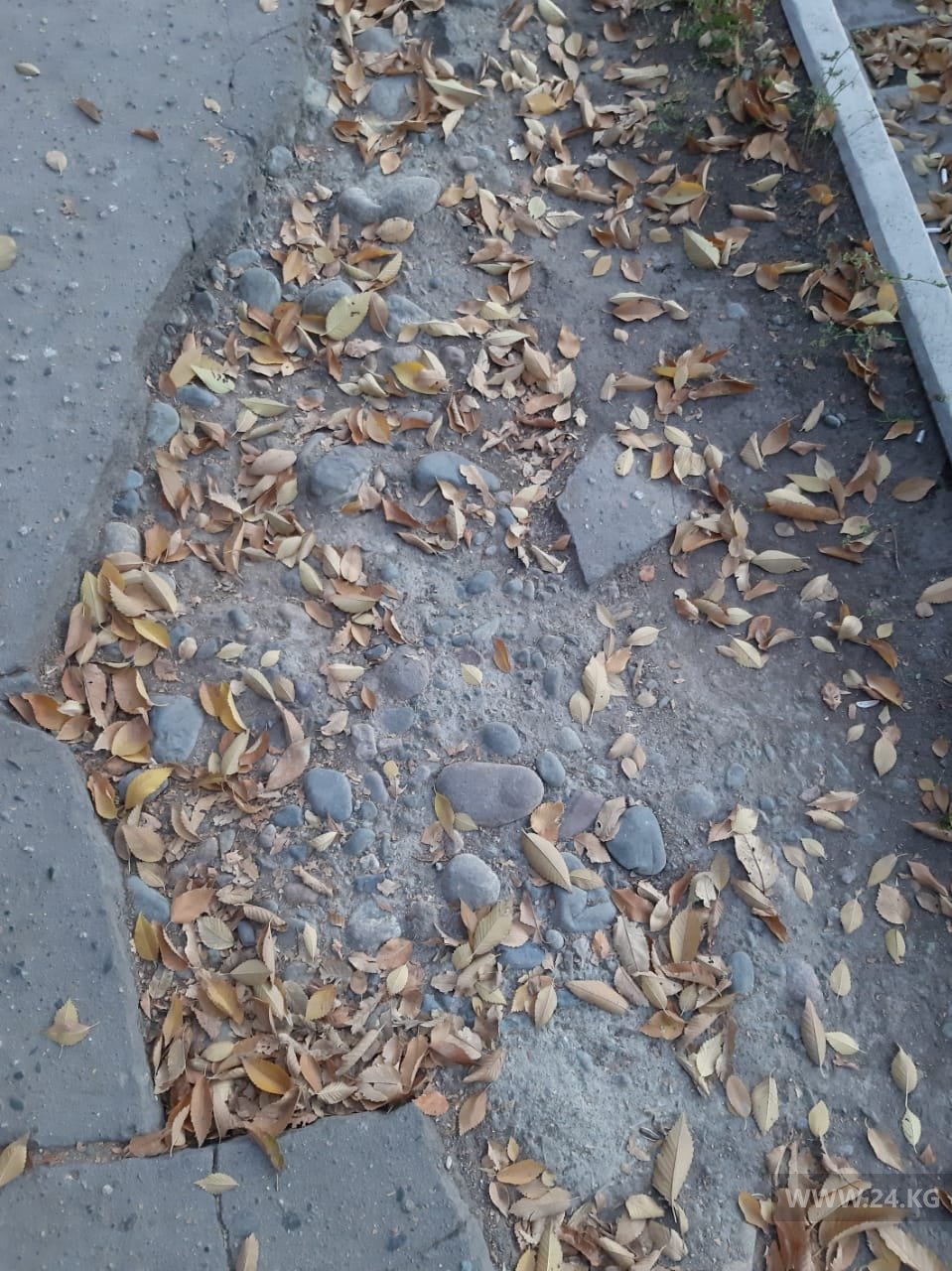 Тротуары в Бишкеке
