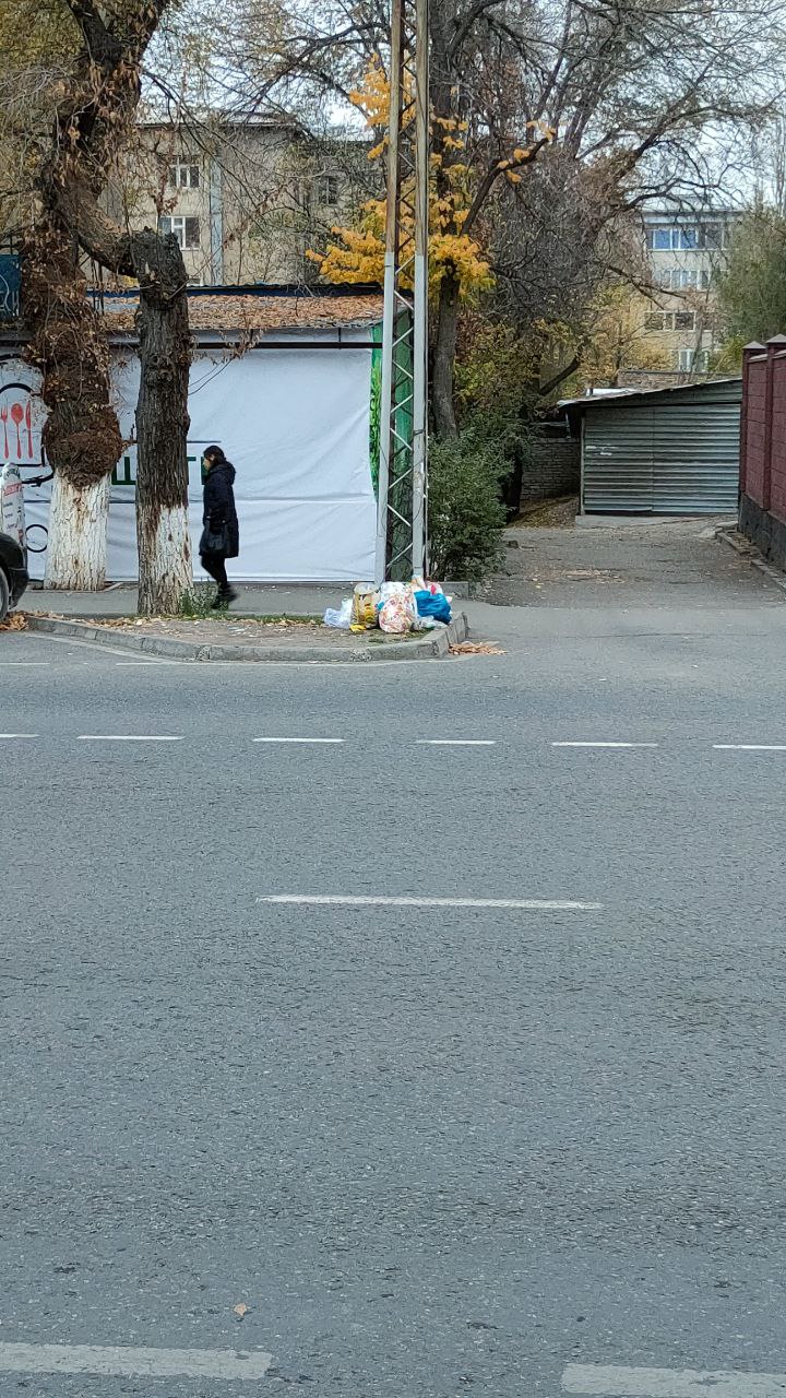 По улице Московской в Бишкеке мусор оставляют возле проезжей части