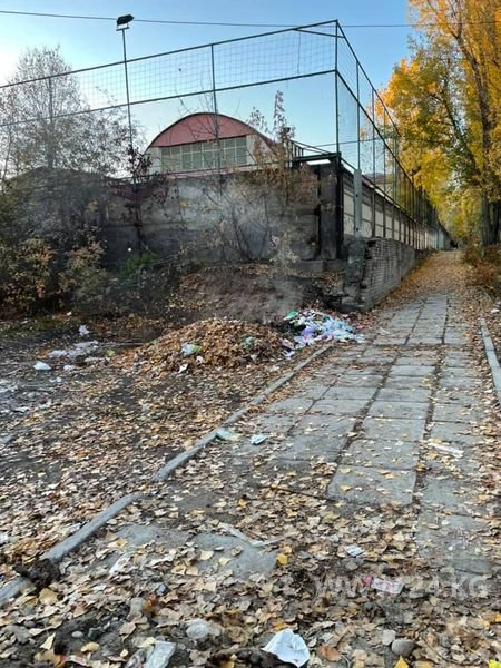 Мусорные баки возле средней школы № 1 в Бишкеке