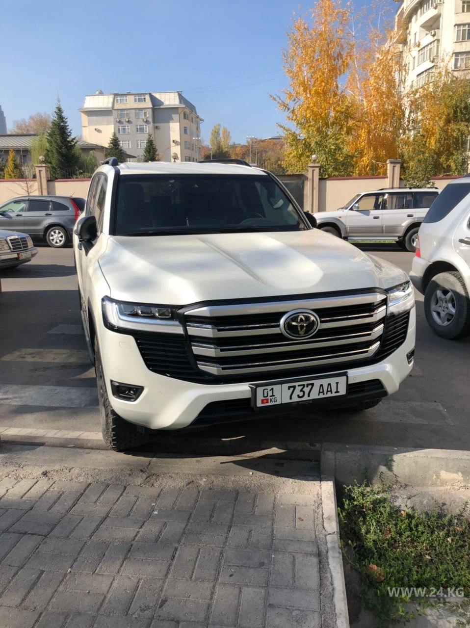 Чудаки парковки