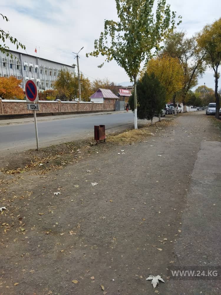Чудаки парковки