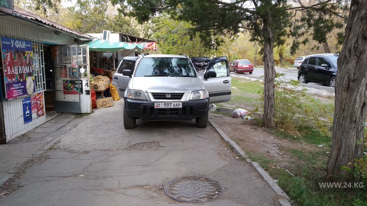 Чудаки парковки
