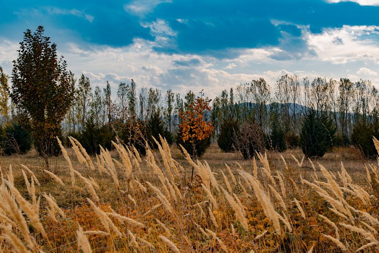 Село Белек