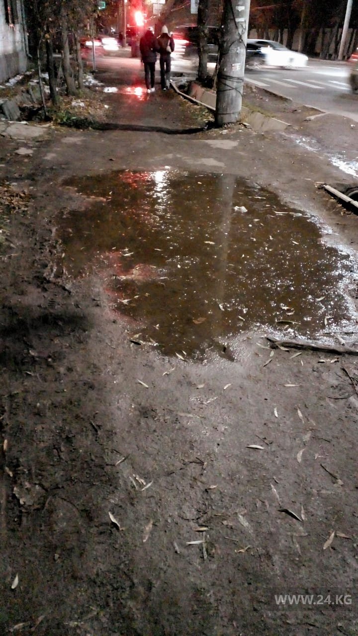 Тротуар на улице Горького