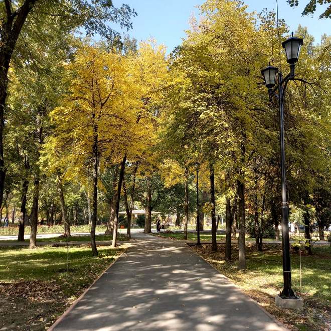Золотая осень