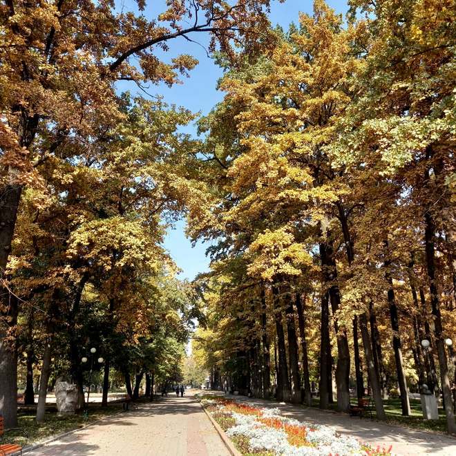 Золотая осень