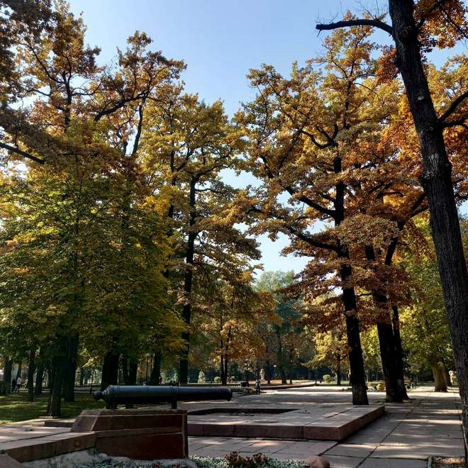 Золотая осень