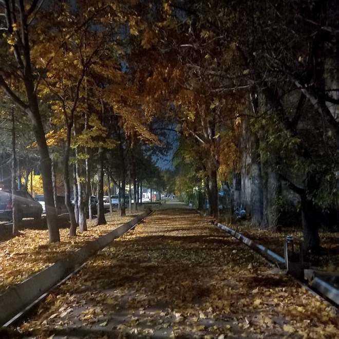 Золотая осень в Бишкеке