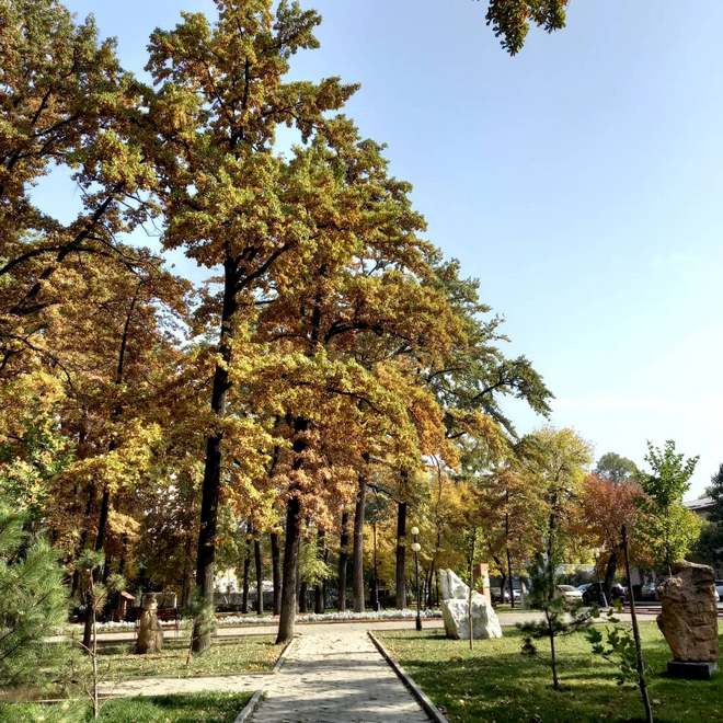 Золотая осень в Бишкеке