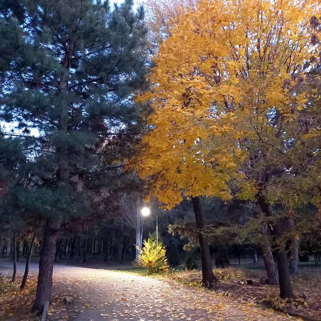 Золотая осень в Бишкеке