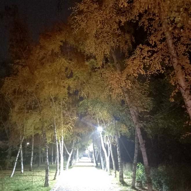 Золотая осень в Бишкеке