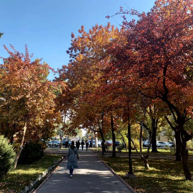 Золотая осень в Бишкеке