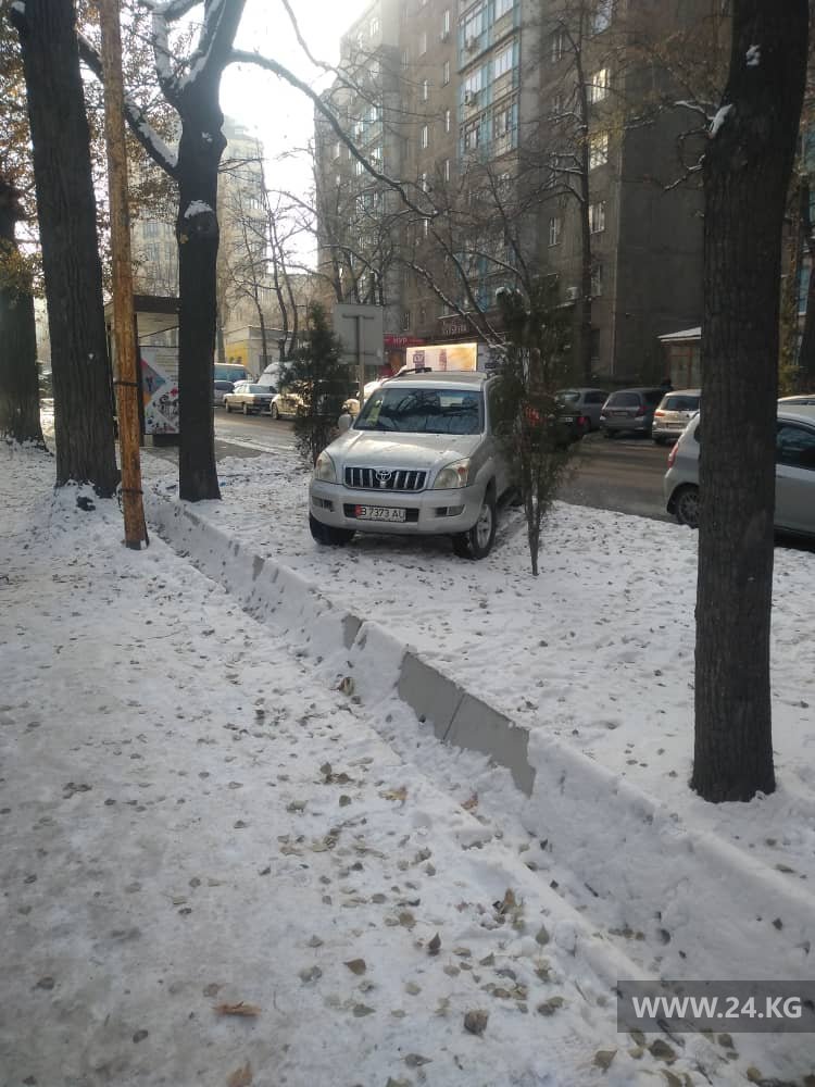 Чудаки парковки