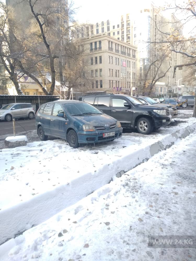 Чудаки парковки