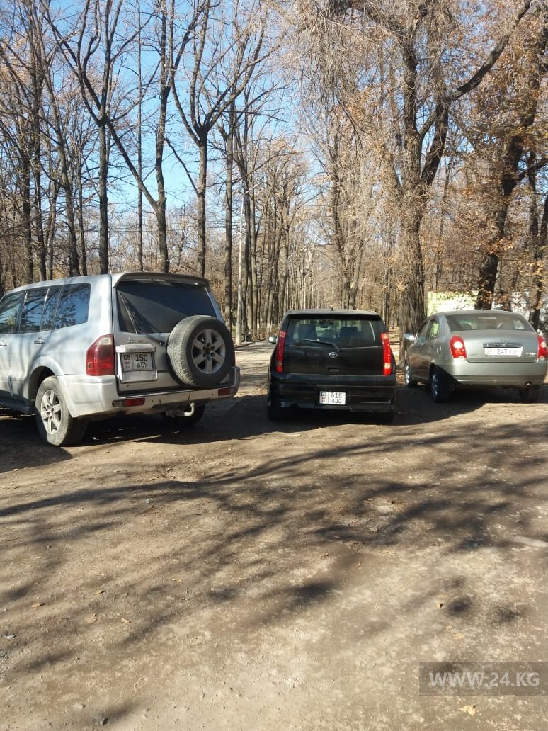 Чудаки парковки