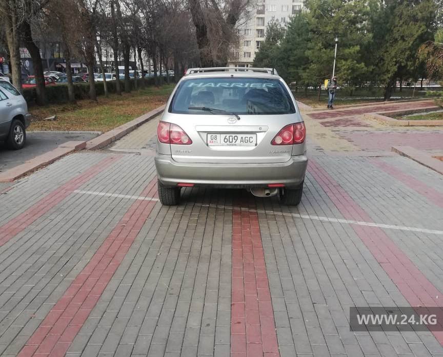 Чудаки парковки