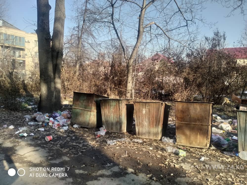 Мусор в парке Ататюрка