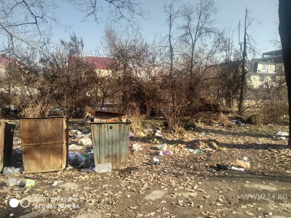 Мусор в парке Ататюрка