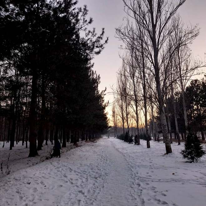 Парк на Южных воротах