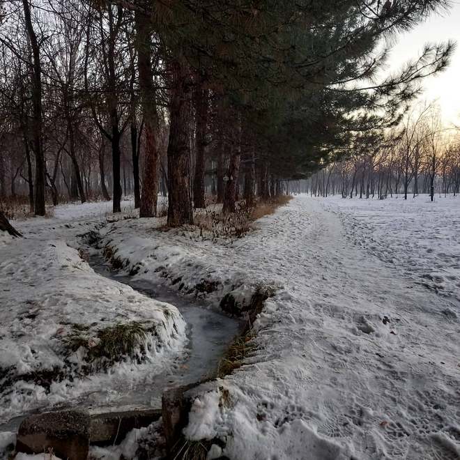 Парк на Южных воротах