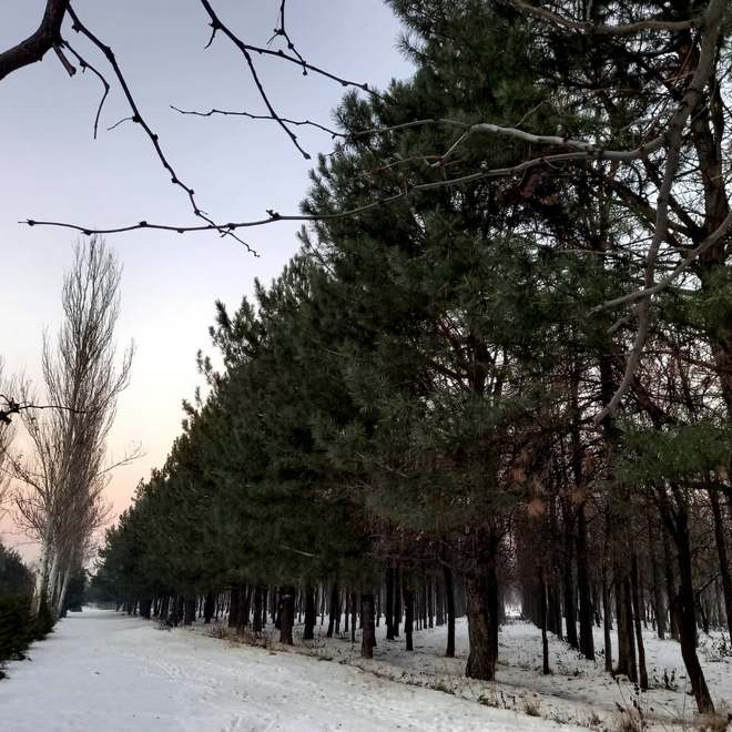 Парк на Южных воротах