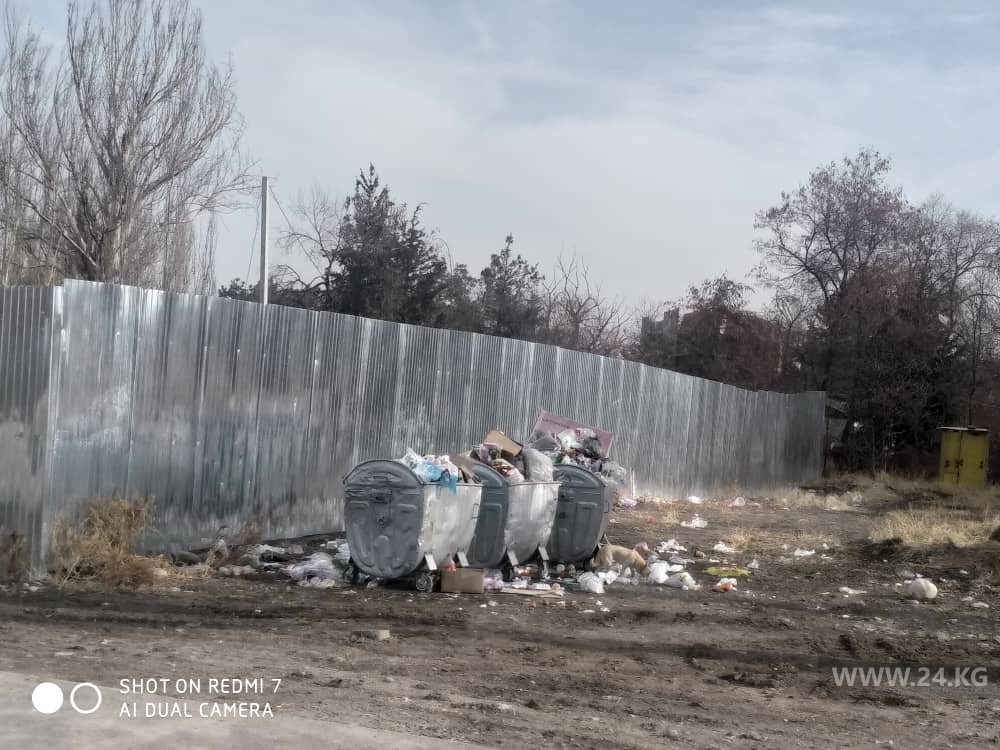 Мусор в Бишкеке
