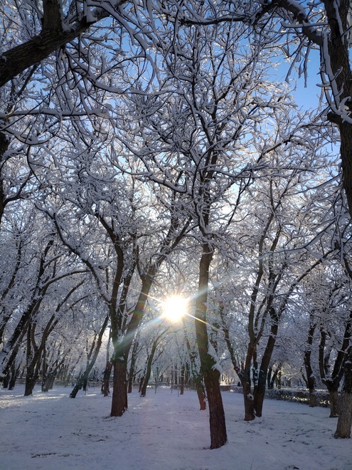 Ореховая роща, Бишкек