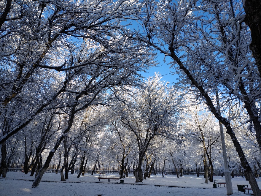 Ореховая роща, Бишкек
