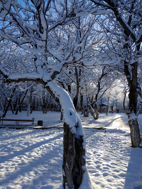Ореховая роща, Бишкек