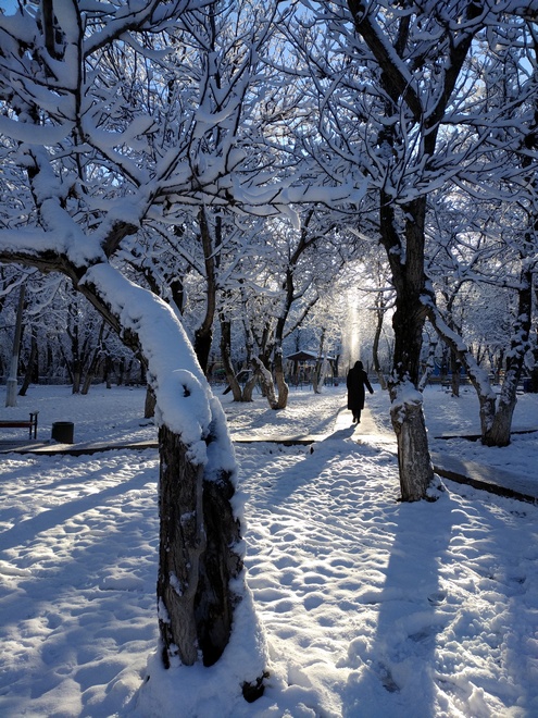 Ореховая роща, Бишкек