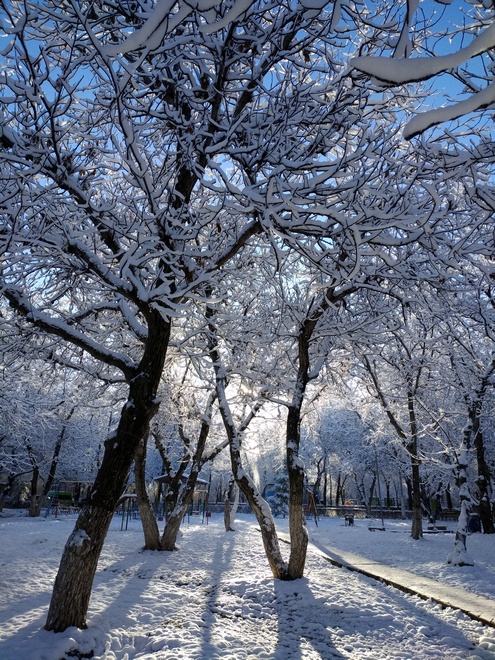 Ореховая роща, Бишкек