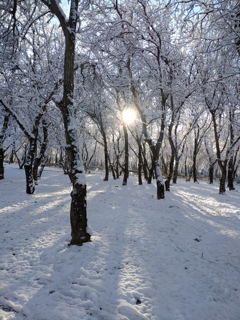 Ореховая роща, Бишкек