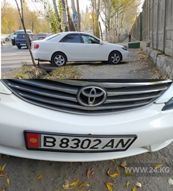 Чудаки парковки