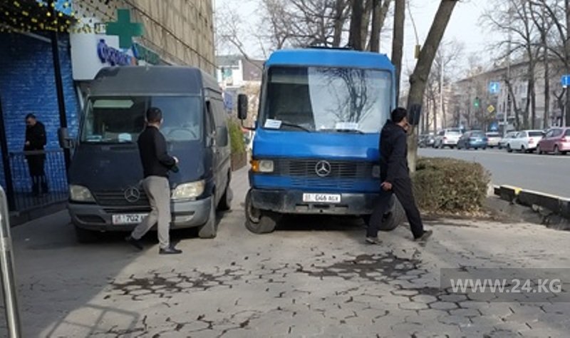 Чудаки парковки
