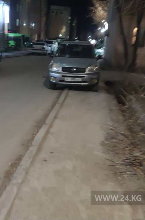 Чудаки парковки